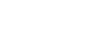 Paypal* logo